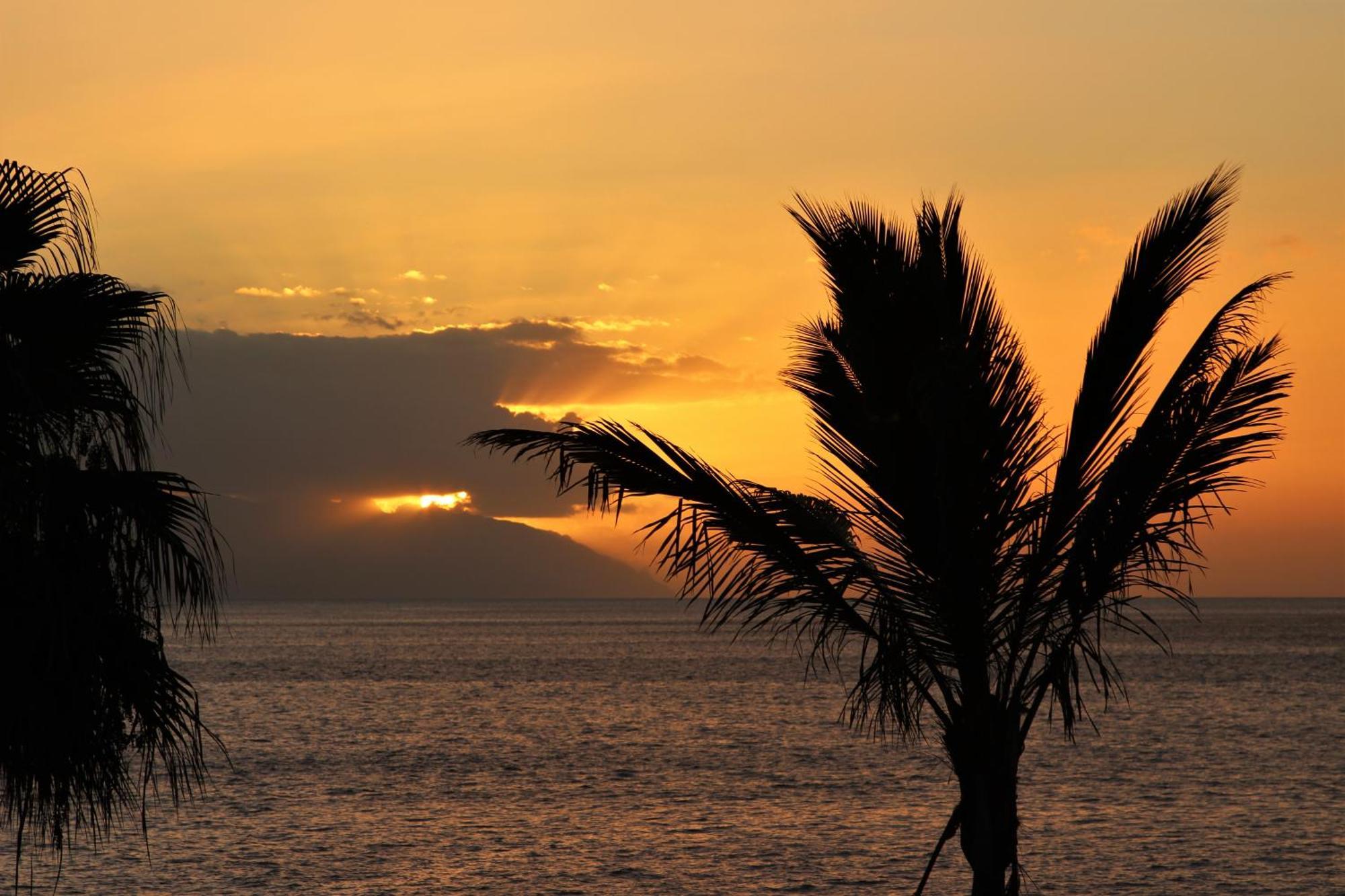 Beautiful Sunset Apartment Puerto de Santiago  Eksteriør bilde